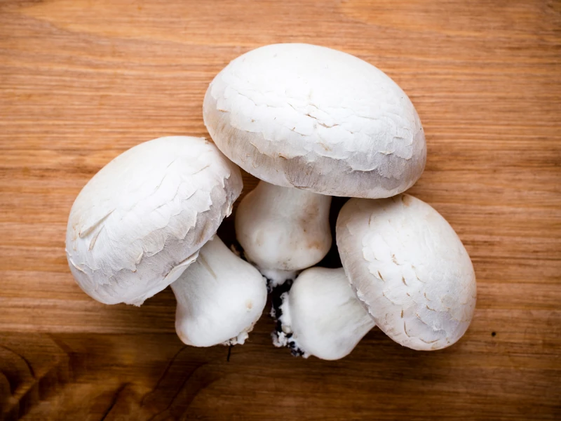 quality of mushroom growing