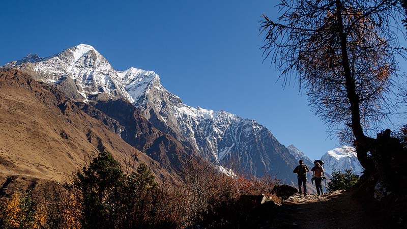 Local Flora and Fauna Along the Manaslu Trek